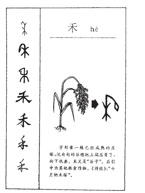 有禾的字|禾